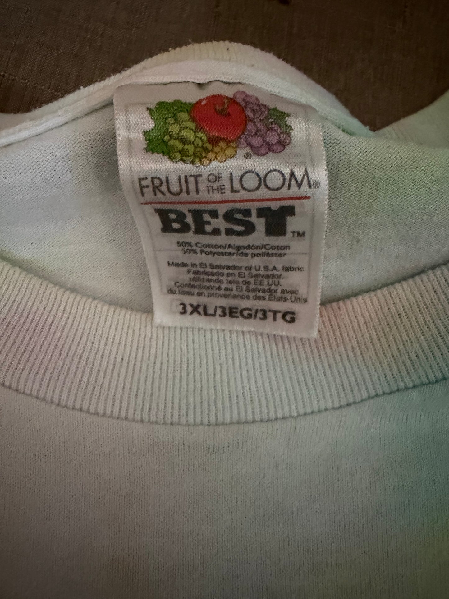 THE BITTERSWEET MOTEL CRITERION TEE UPCYCLED VINTAGE XXXL FRUIT OF THE LOOM