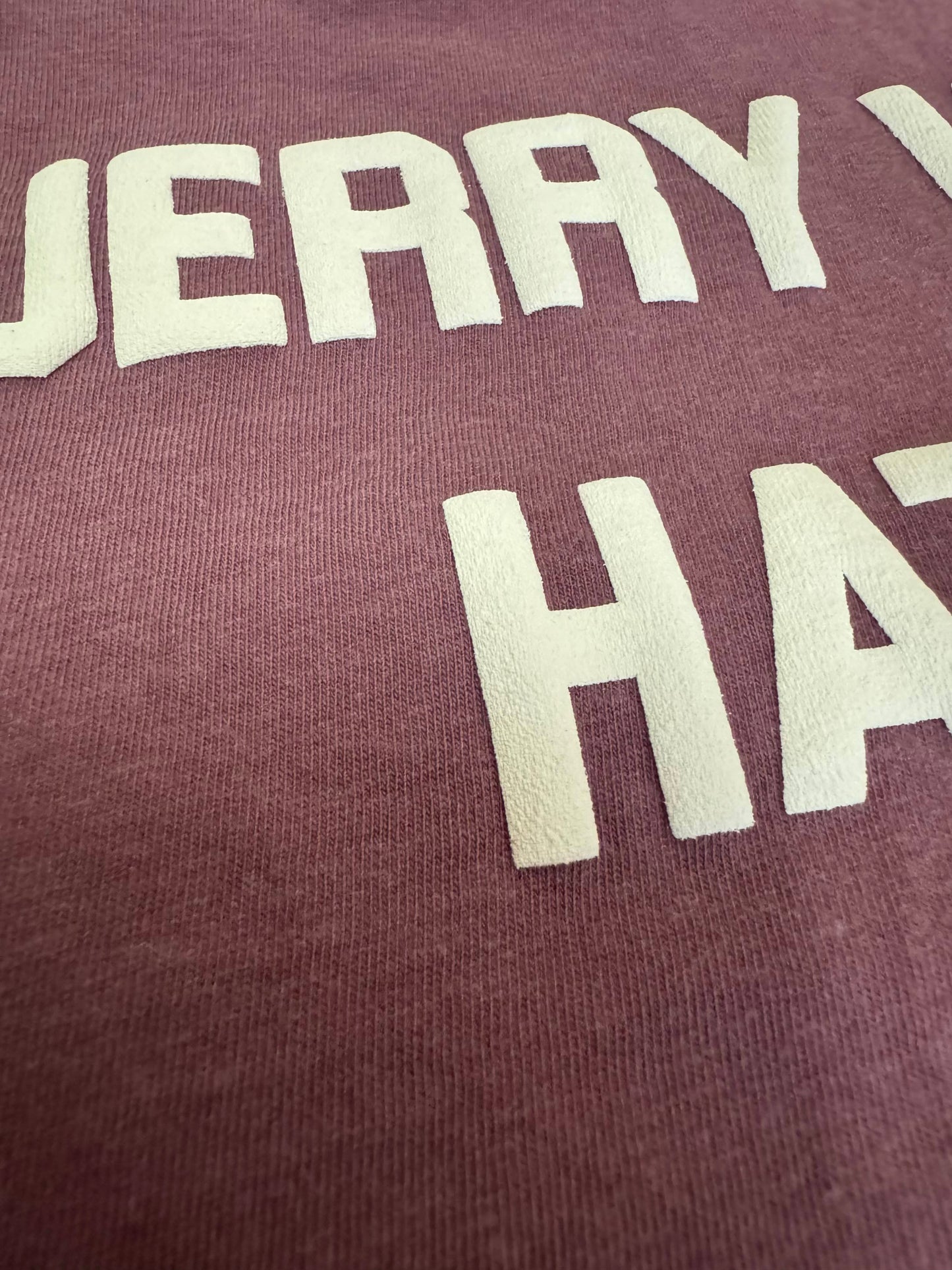 JERRY WOULD'VE HATED THIS T-Shirt - Berry